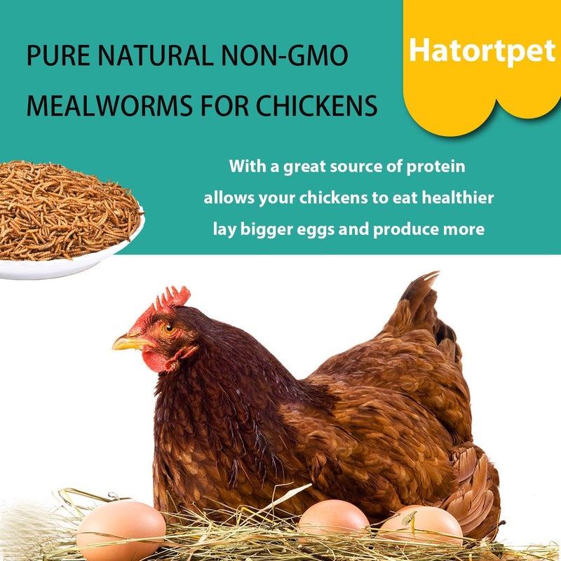 hatortpet Dried Mealworms 20LB Pure Natural Non-GMO Mealworms for Chickens High Protein Chickens Feed Meal Worms for Laying Hens Wild Birds - Image 3